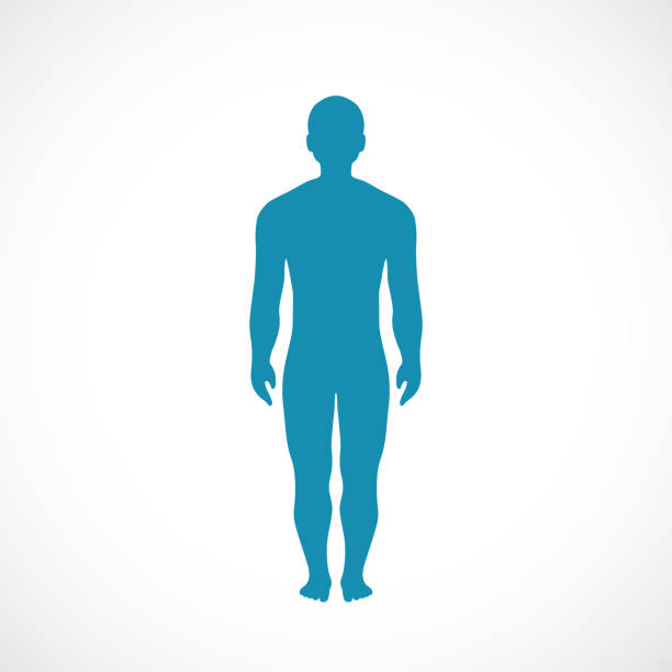 Body Map